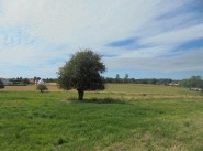 Terrain Moulle